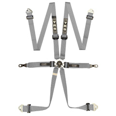 TRS Porsche Quick Adjuster 6-Point Ultralite FIA Harness - Dundon Motorsports
