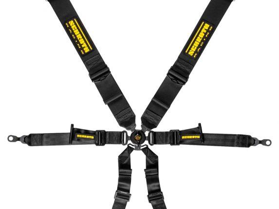 Schroth Harnesses 991/GT4